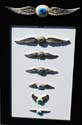 wck_2011_sherm-228